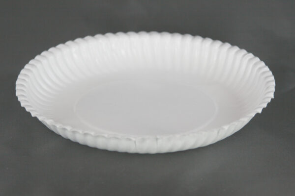 Pappteller Ø 22 cm 2,5 cm tief weiß