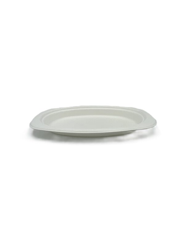 Bagasse-Teller oval, tief 233 x 162 x 22 mm – Bild 2