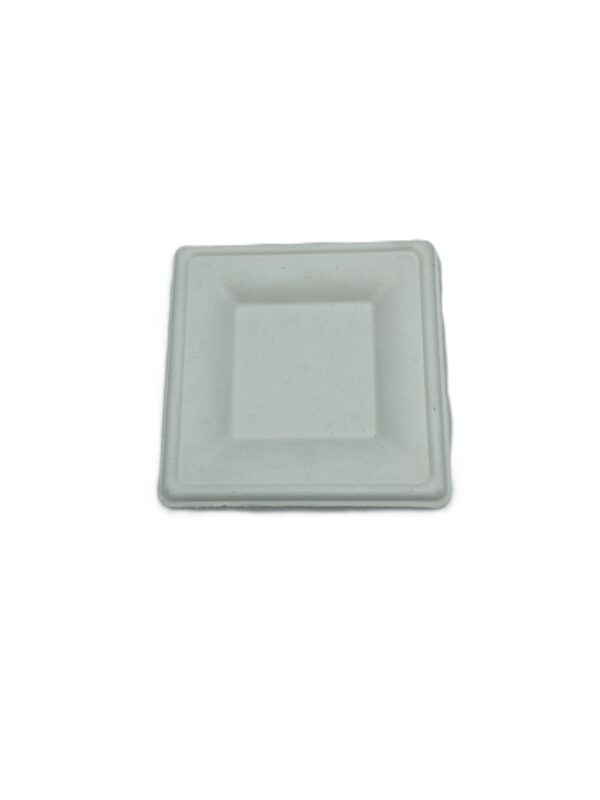 Bagasse-Teller 16 x 16 cm 1,5 cm tief weiß